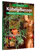 Kbelpflanzen