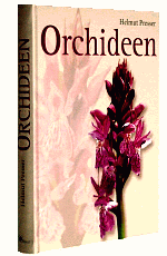 Orchideen, die Orchideen Mitteleuropas und der Alpen