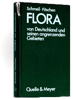 Flora