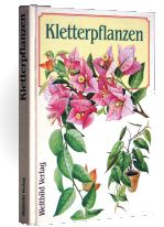 Kletterpflanzen