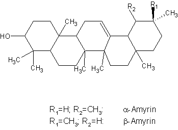 Amyrin