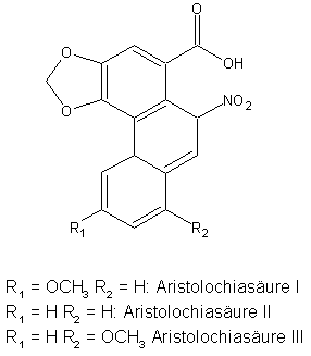 Aristolochiasuren