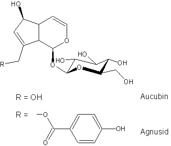 Aucubin und Agnusid