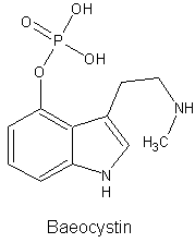 Baeocystin