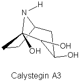 Calystegin A3