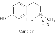 Candicin