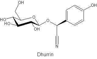 Dhurrin