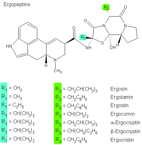 Ergosin, Ergotamin, Ergostin, Ergocornin, Ergocryptin, Ergocristin