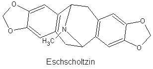 Eschscholtzin