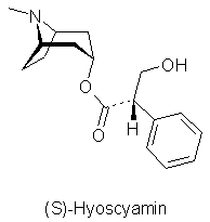 Hyoscyamin