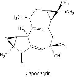Japodagrin