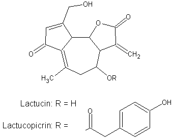 Lactucin