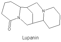 Lupanin