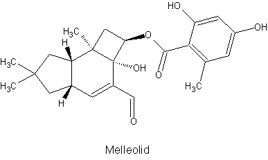 Melleoloid