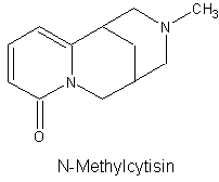 N-Methylcytisin