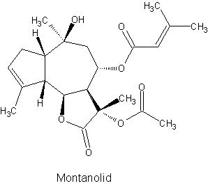 Montanolid