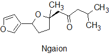 Ngaion