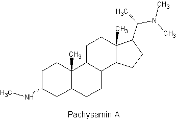 Pachysamin A