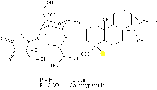 Parquin und Carboxyparquin