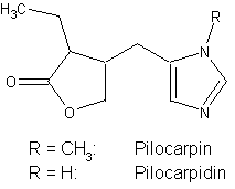 Pilocarpin und Pilocarpidin