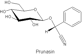 Prunasin