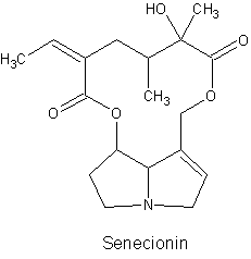 Senecionin