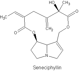 Seneciphyllin