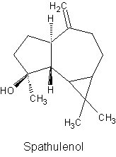 Spathulenol