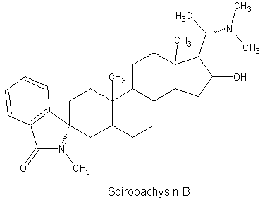 Spiropachysin B