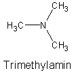 Trimethylamin